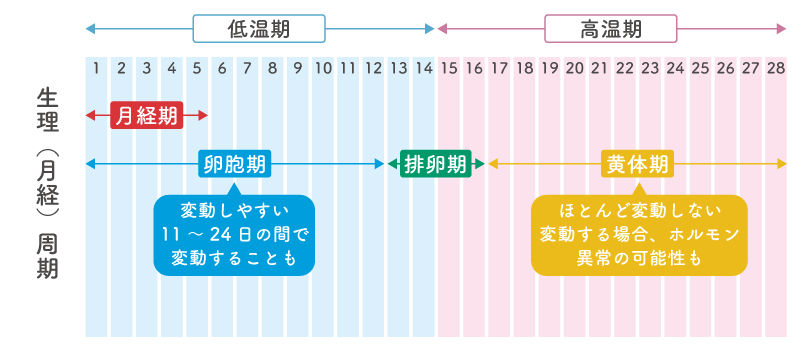 生理不順とは