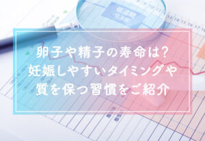 卵子や精子の寿命は？妊娠しやすいタイミングや質を保つ習慣をご紹介