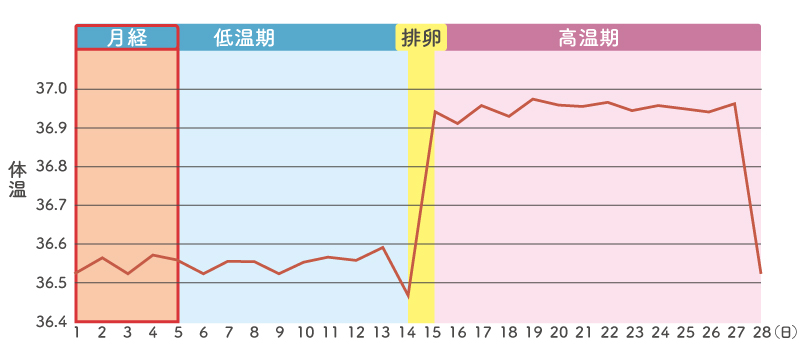 女性の基礎体温の推移